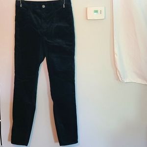 Loft Velvet Blue Pants